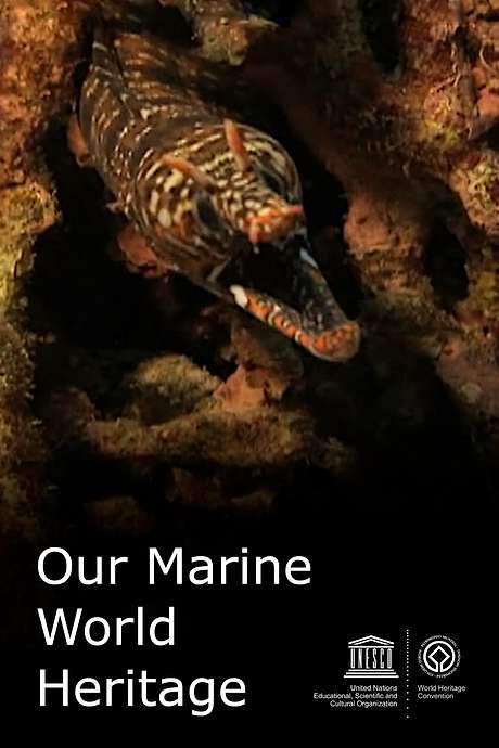 Our Marine World Heritage
